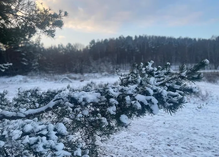 Apartament Z Tarasem Ii 아파트